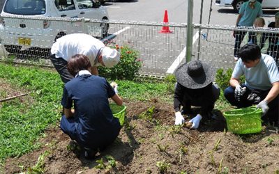 じゃがいも掘り